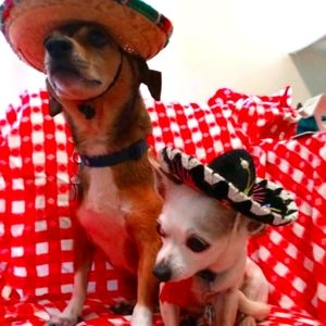 WELCOME TO MY CLOSET❤️